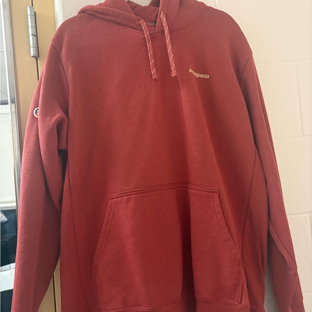 Patagonia Brick Red Men's Hoodie